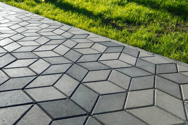 Best Driveway Paving Contractor  in Moore Haven, FL