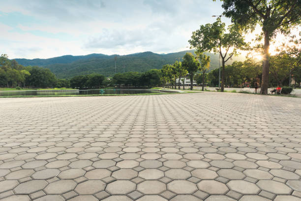 Best Best Driveway Pavers  in Moore Haven, FL